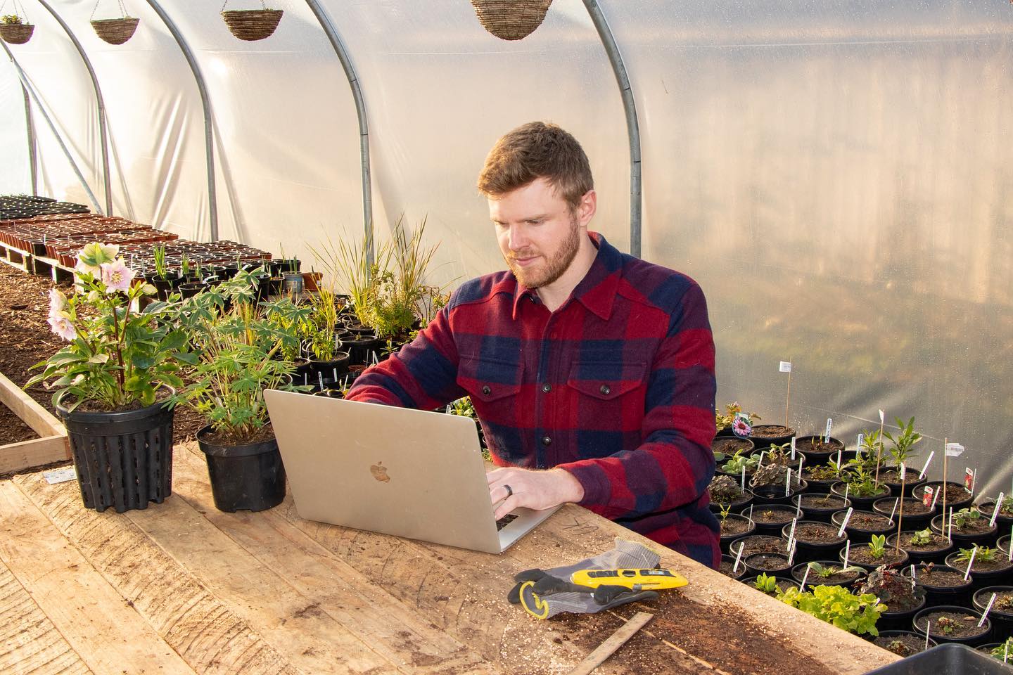 Nathan Cranston, Verosia Studio founder, working on website development for Peachy Plants e-commerce business